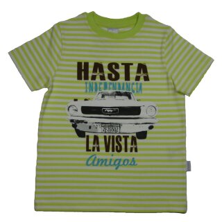 Stummer T-Shirt lindgrün gestreift HASTA LA VISTA