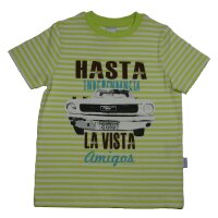 Stummer T-Shirt lindgrün gestreift HASTA LA VISTA