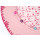 Fiebig Mädchen Sommerhut Papierhut Hut Glockenform bunte Perlen (89344) rosa Gr. 51