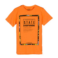 Losan Jungen T-Shirt orange Sunshine State everywhere (113-1035AL) Gr. 128
