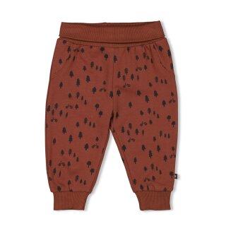 Feetje Baby Jungen Hose Jogginghose Sweathose Wilde Ride braun