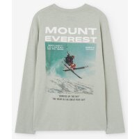 Losan Jungen Langarmshirt Mount Everest light grey