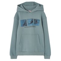 Losan Jungen Kapuzensweatshirt Snowboarder grey