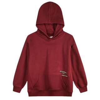 ENERGIERS Jungen Sweatshirt Kapuze Bauchtasche bordeaux