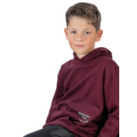 ENERGIERS Jungen Sweatshirt Kapuze Bauchtasche bordeaux
