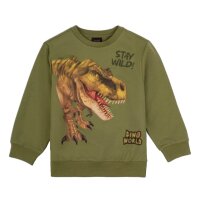 Dino World Sweatshirt Pullover Dinosaurier T-Rex Stay...